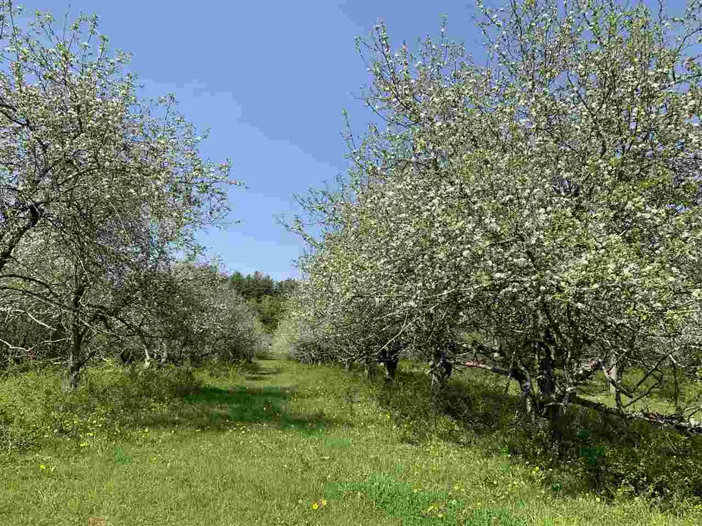 184 Federal Hill Road Hollis NH 03049