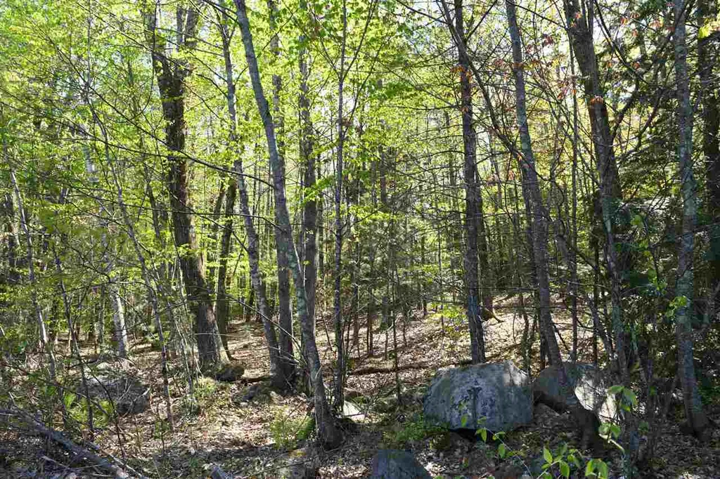184 Federal Hill Road Hollis NH 03049