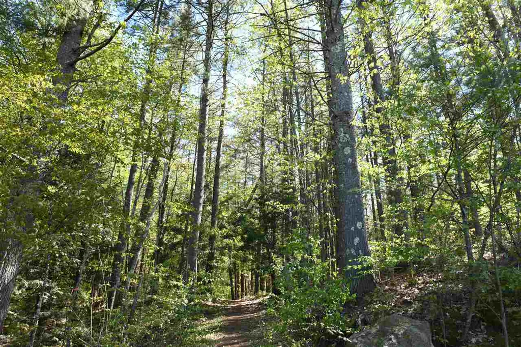 184 Federal Hill Road Hollis NH 03049