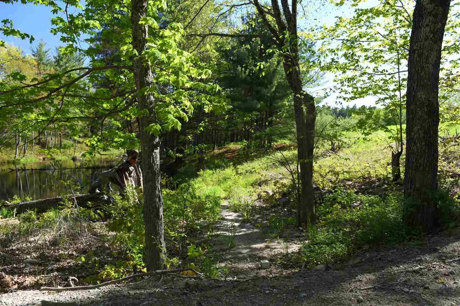 184 Federal Hill Road Hollis NH 03049
