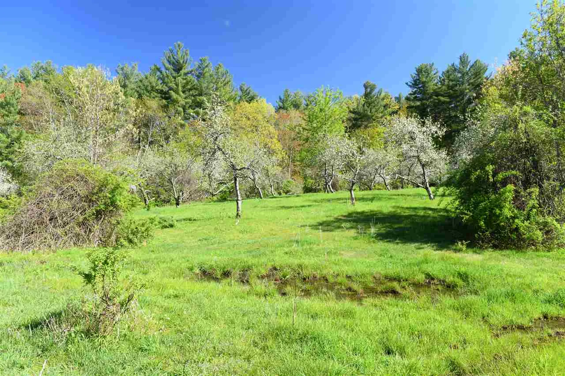 184 Federal Hill Road Hollis NH 03049