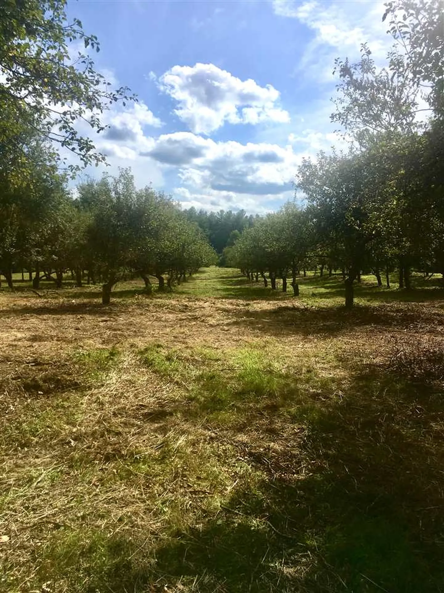184 Federal Hill Road Hollis NH 03049