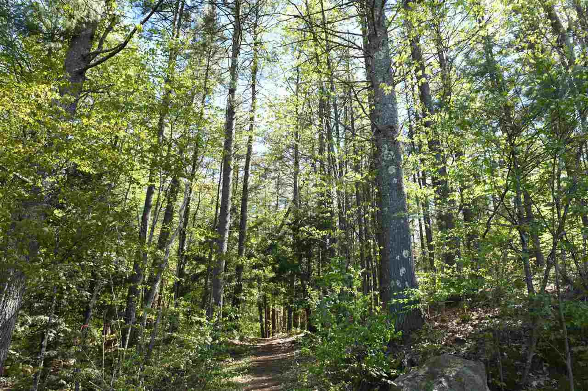 184 Federal Hill Road Hollis NH 03049