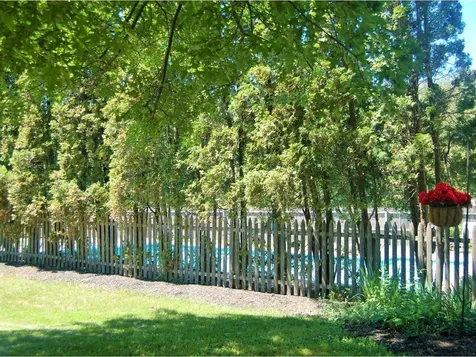 129 Stirling Place Burlington VT 05408