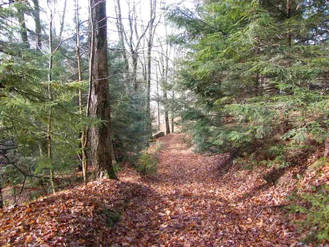 396 Route 9 East Wilmington VT 05363