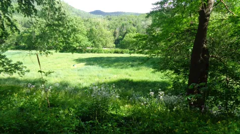 4479 Vt Route 14 Royalton VT 05068