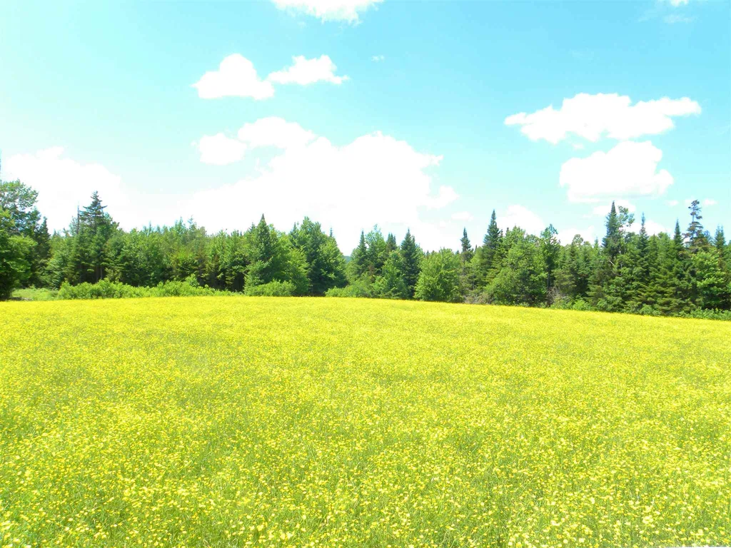 - Willoughby Lake Road Barton VT 05822