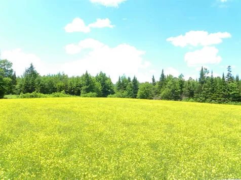 - Willoughby Lake Road Barton VT 05822