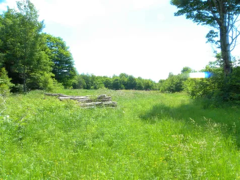 - Willoughby Lake Road Barton VT 05822