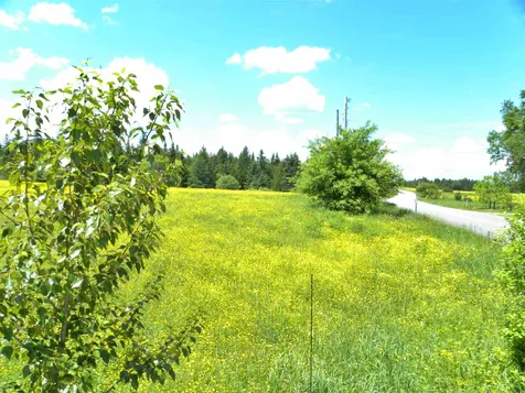 - Willoughby Lake Road Barton VT 05822