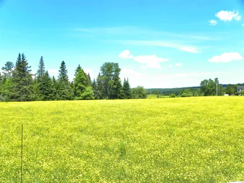 - Willoughby Lake Road Barton VT 05822