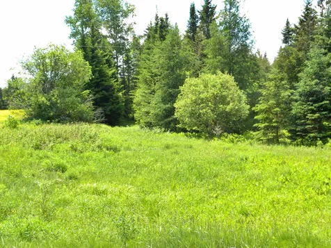 - Willoughby Lake Road Barton VT 05822