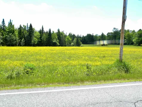 - Willoughby Lake Road Barton VT 05822