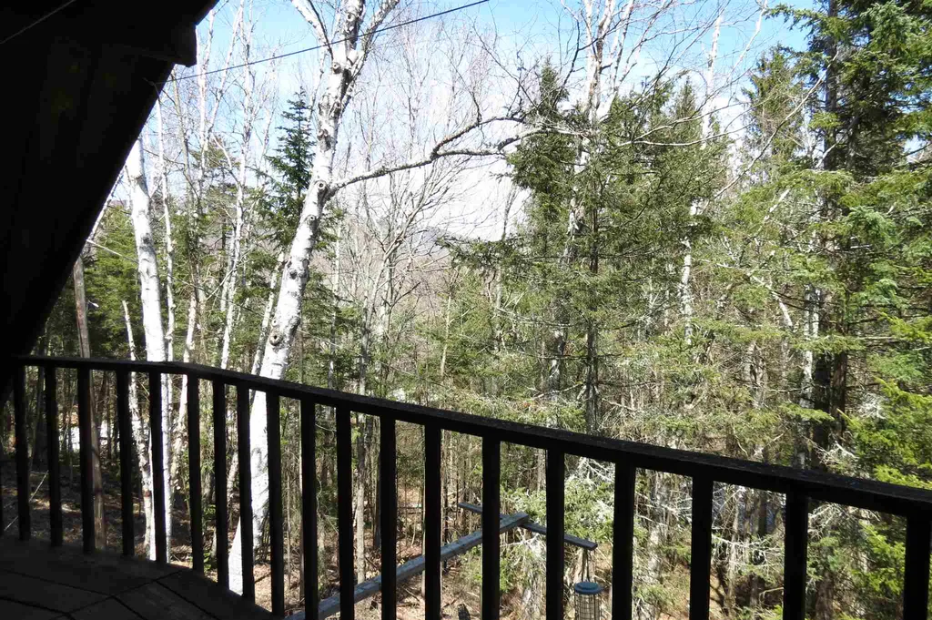 63 Andover Road Ludlow VT 05149