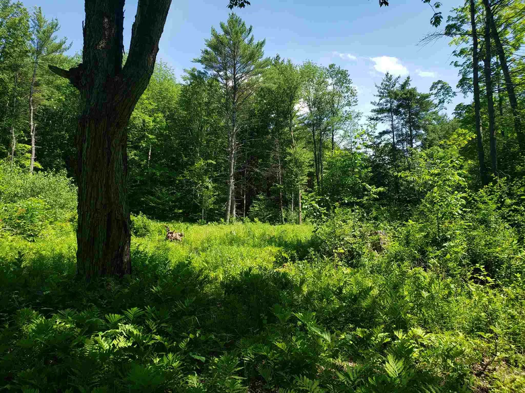 590 Chestnut Street Claremont NH 03743