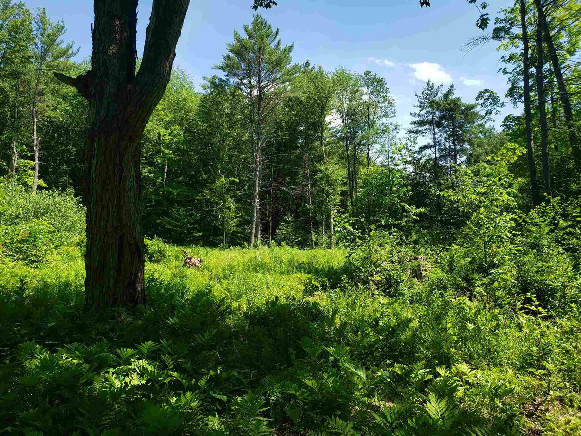590 Chestnut Street Claremont NH 03743