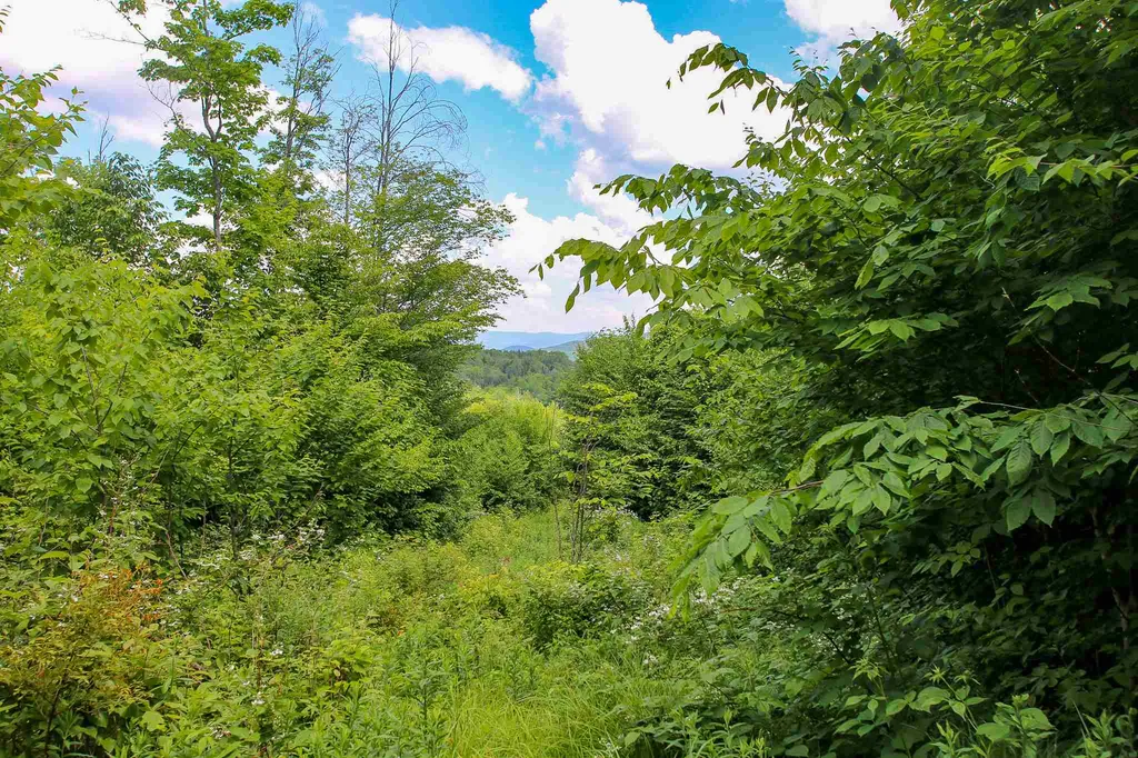 281 Softwood Road Elmore VT 05657