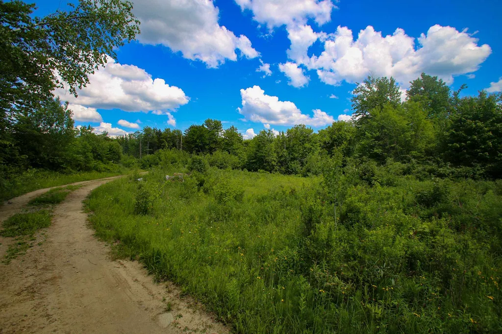 281 Softwood Road Elmore VT 05657