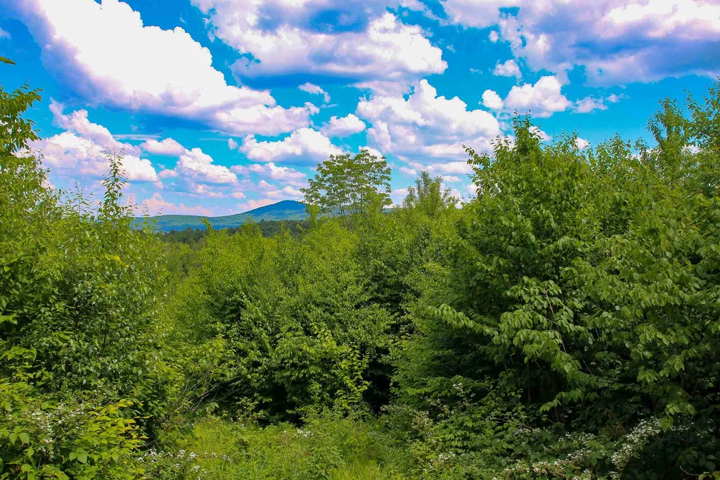 281 Softwood Road Elmore VT 05657