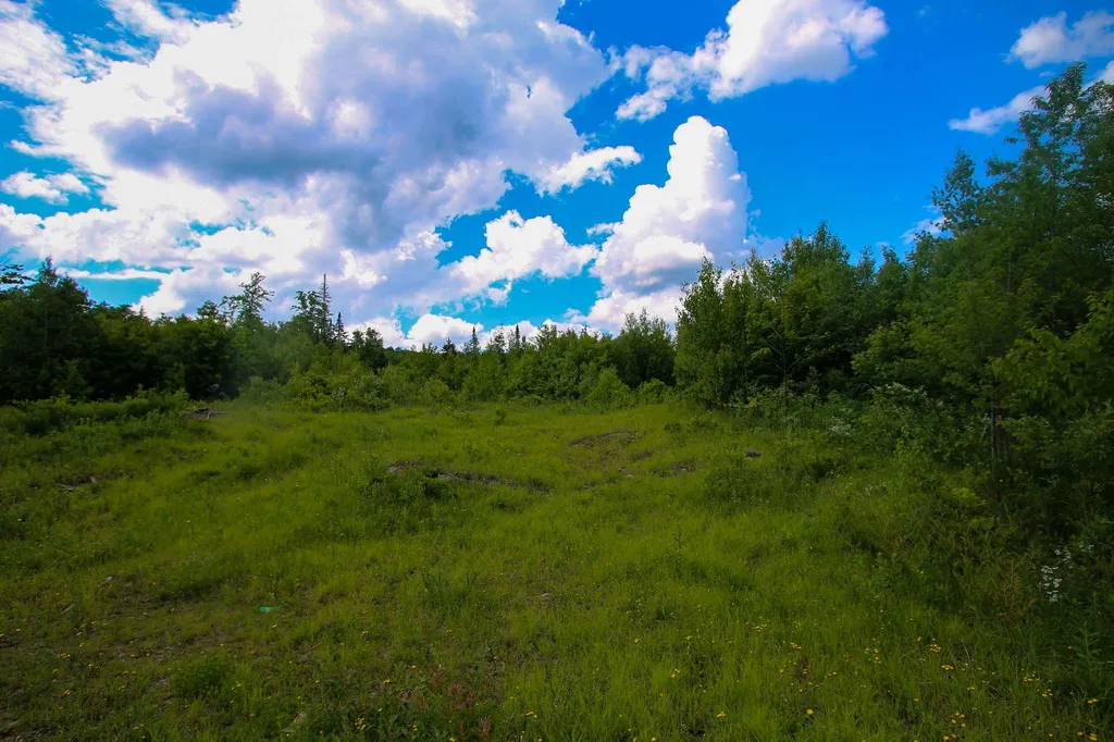 281 Softwood Road Elmore VT 05657