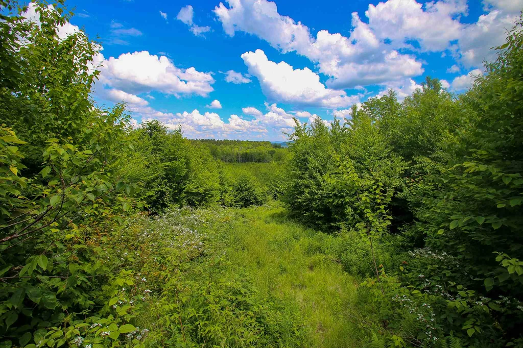 281 Softwood Road Elmore VT 05657