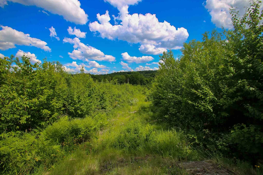 281 Softwood Road Elmore VT 05657