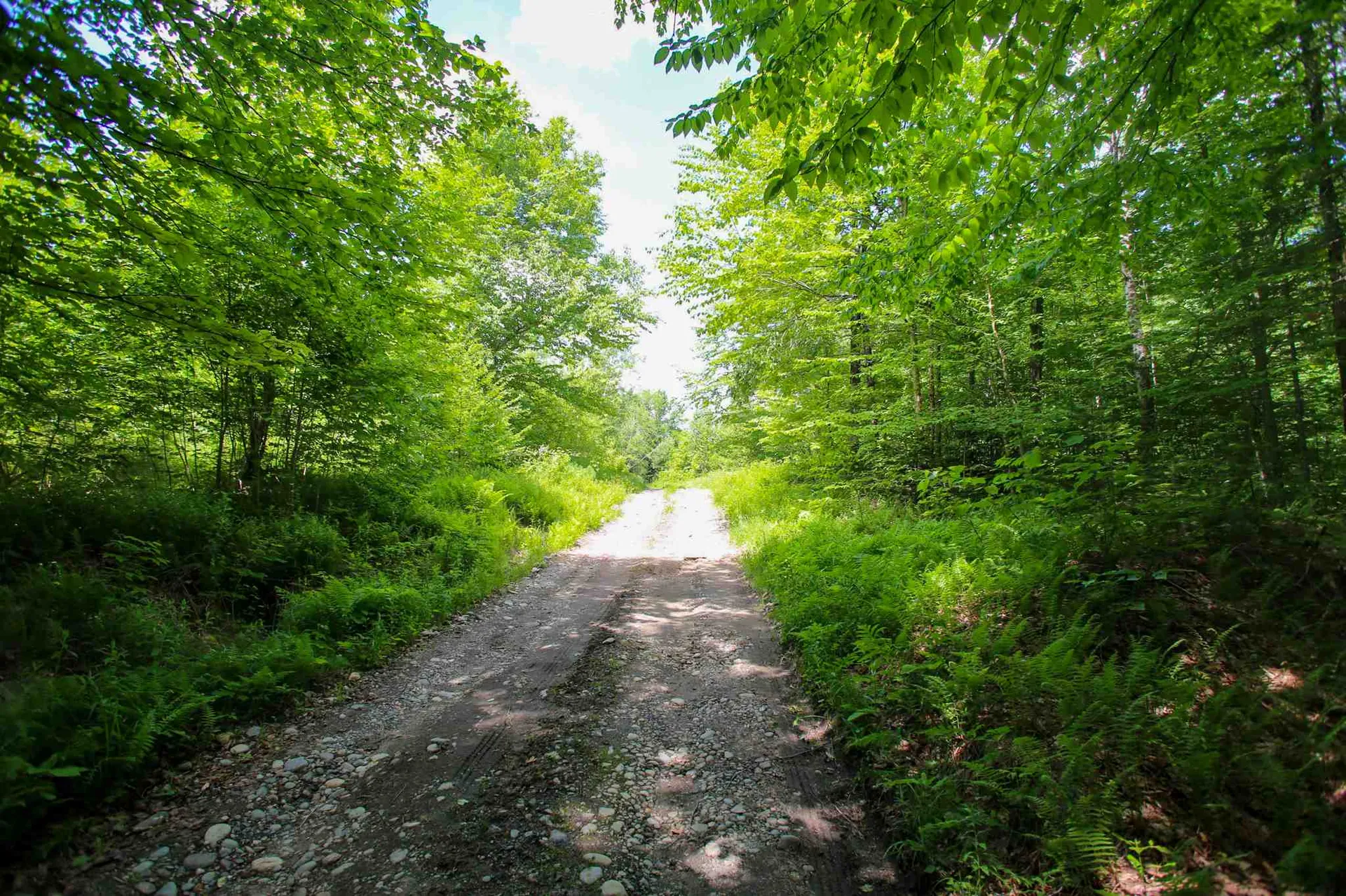 281 Softwood Road Elmore VT 05657