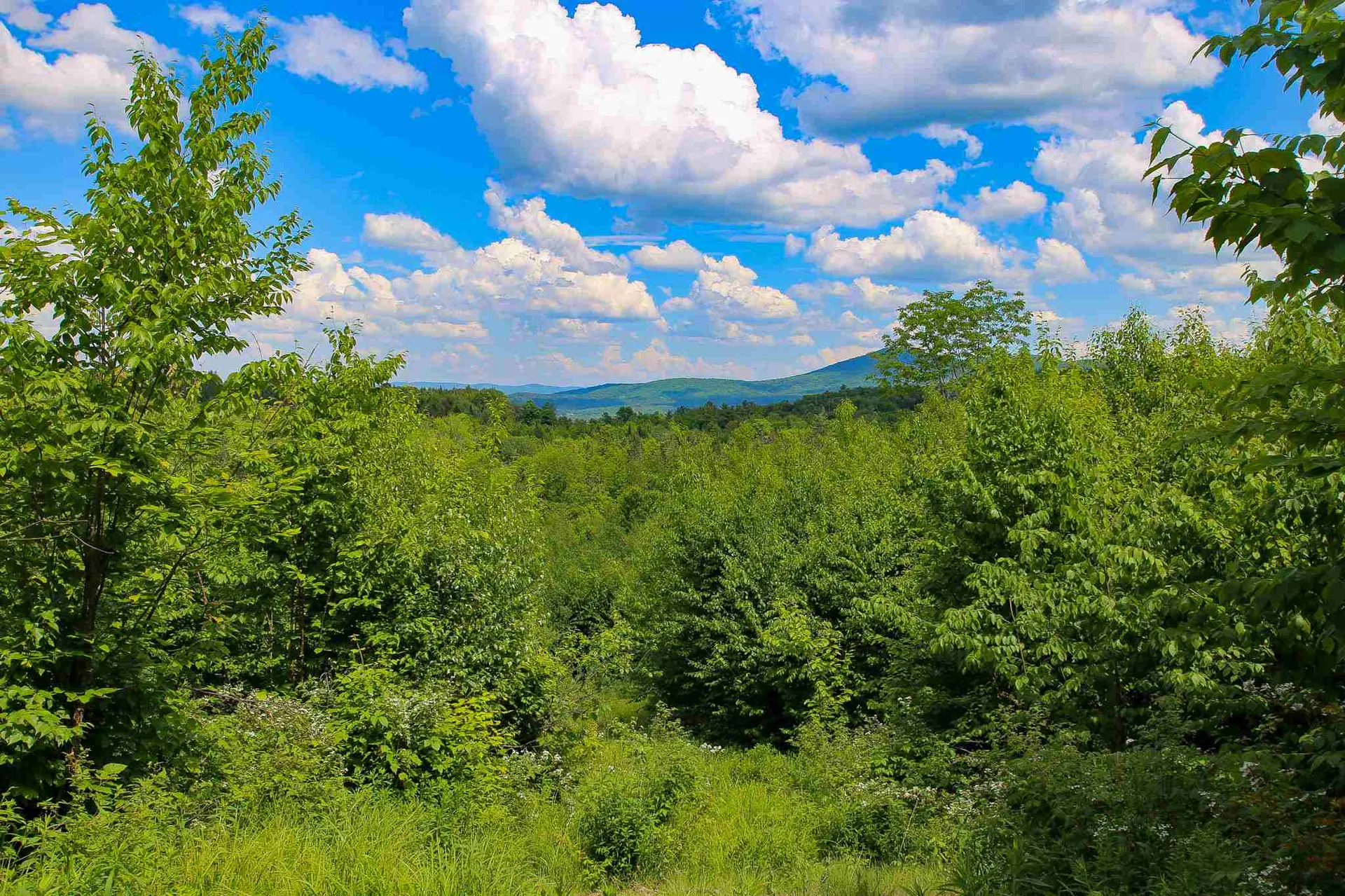 281 Softwood Road Elmore VT 05657