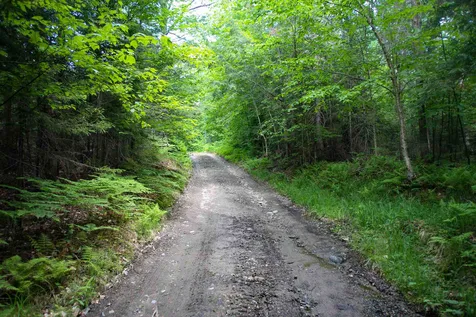 281 Softwood Road Elmore VT 05657