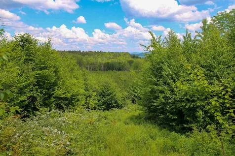 281 Softwood Road Elmore VT 05657