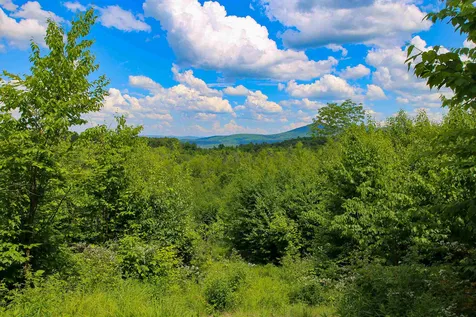 281 Softwood Road Elmore VT 05657