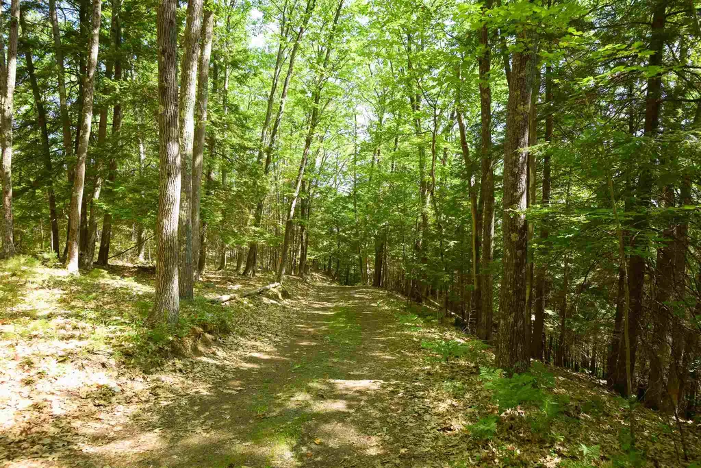 0 Checkerberry Lane Newbury VT 05051