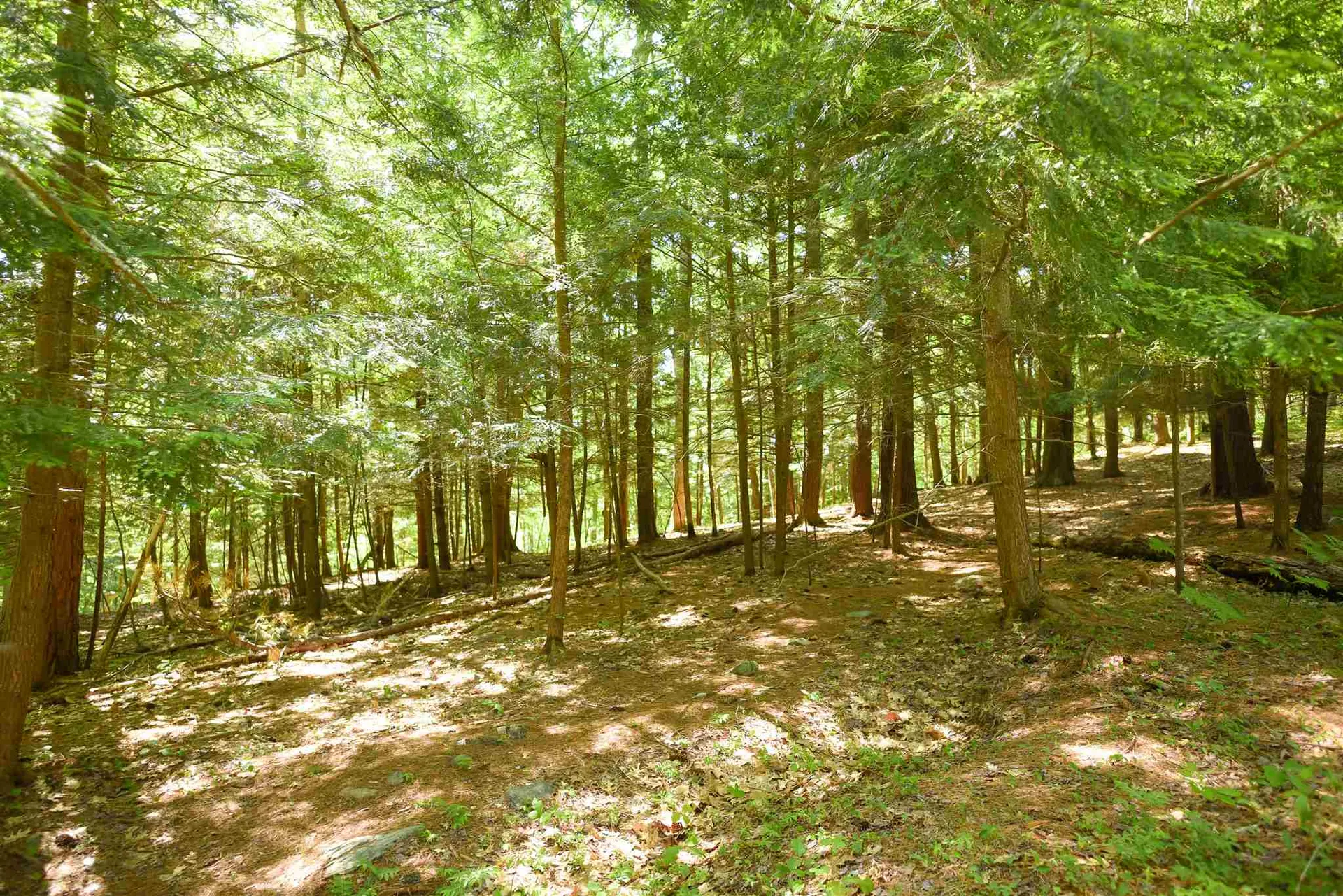 0 Checkerberry Lane Newbury VT 05051