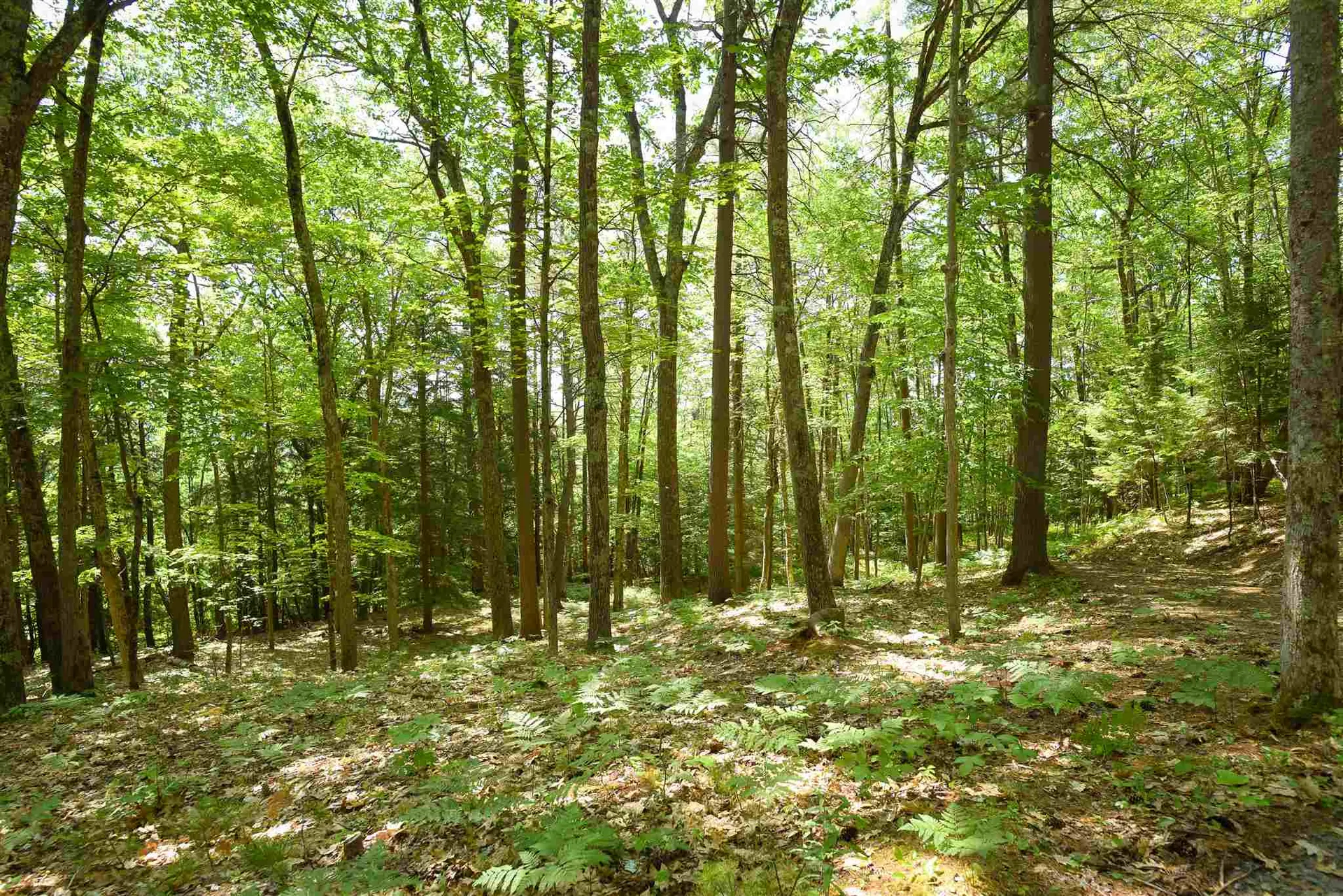 0 Checkerberry Lane Newbury VT 05051
