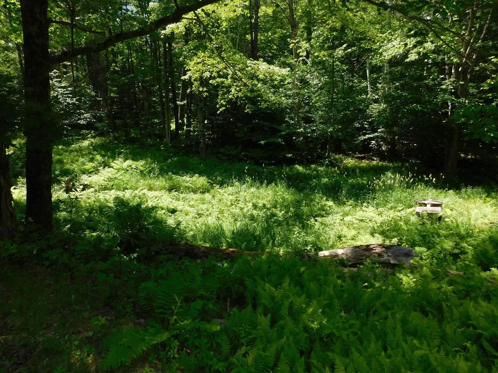 1489 Stage Road Richmond VT 05477