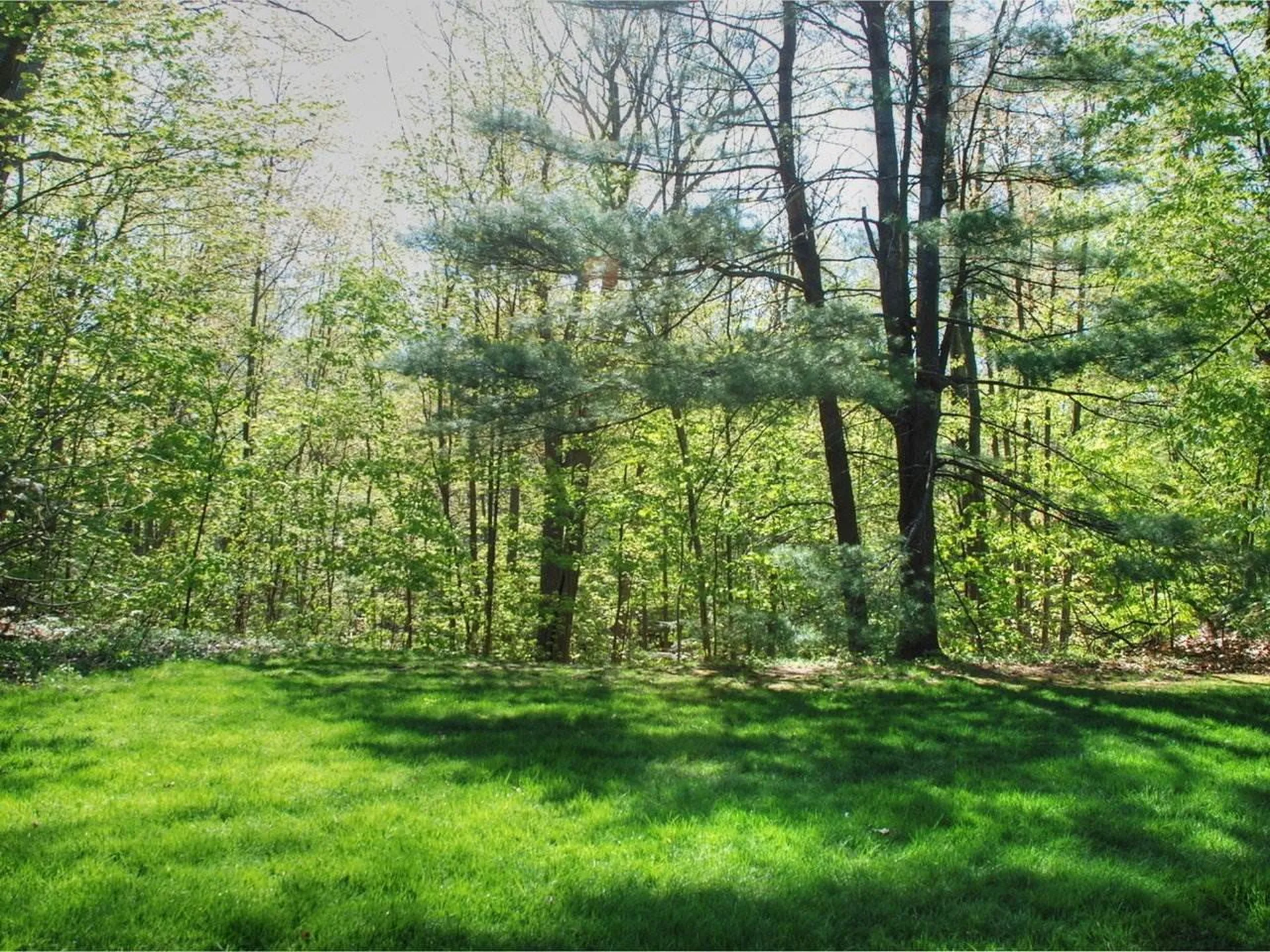 68 Crescent Road Burlington VT 05401