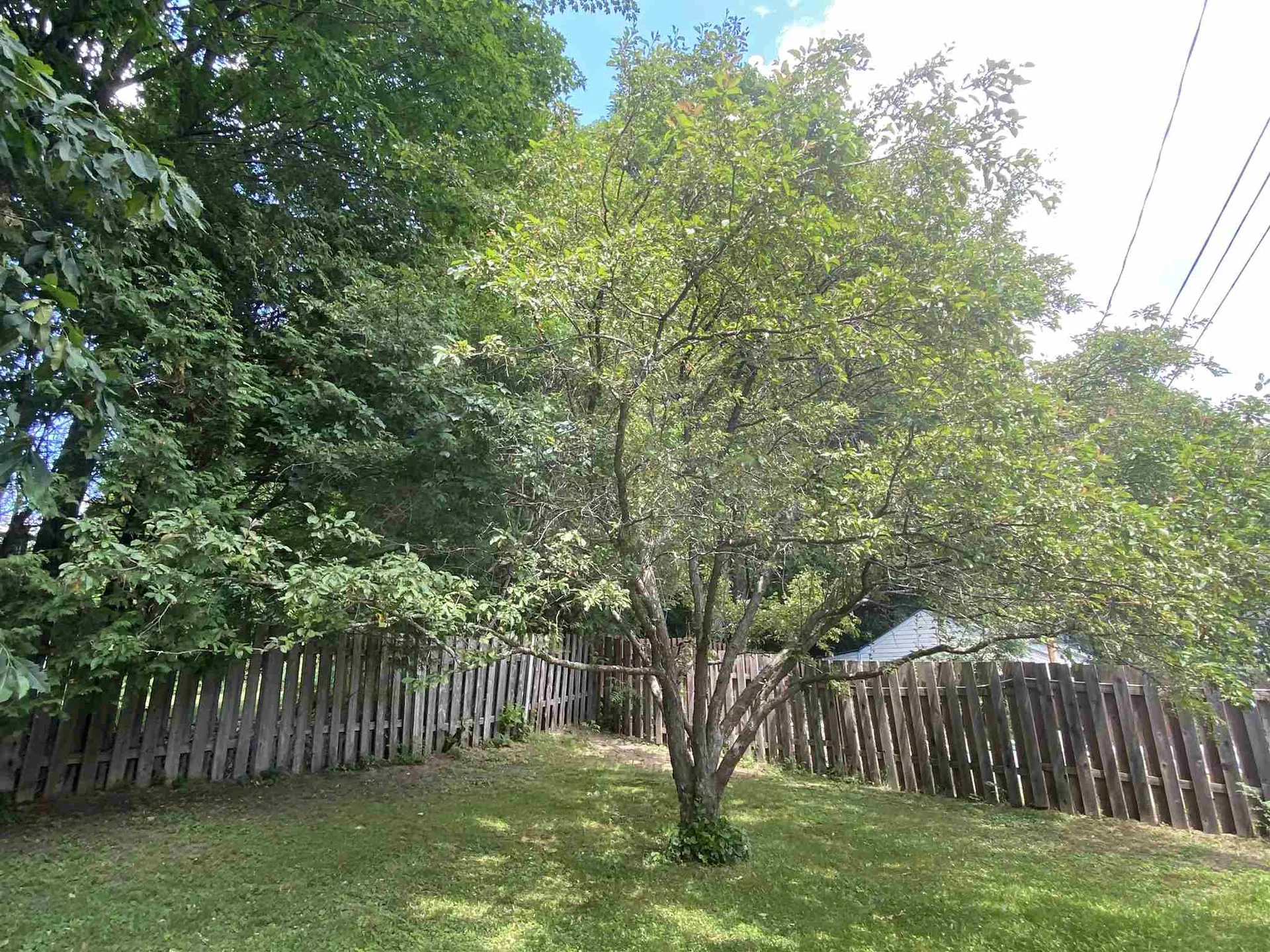 20 Grove Street Proctor VT 05765