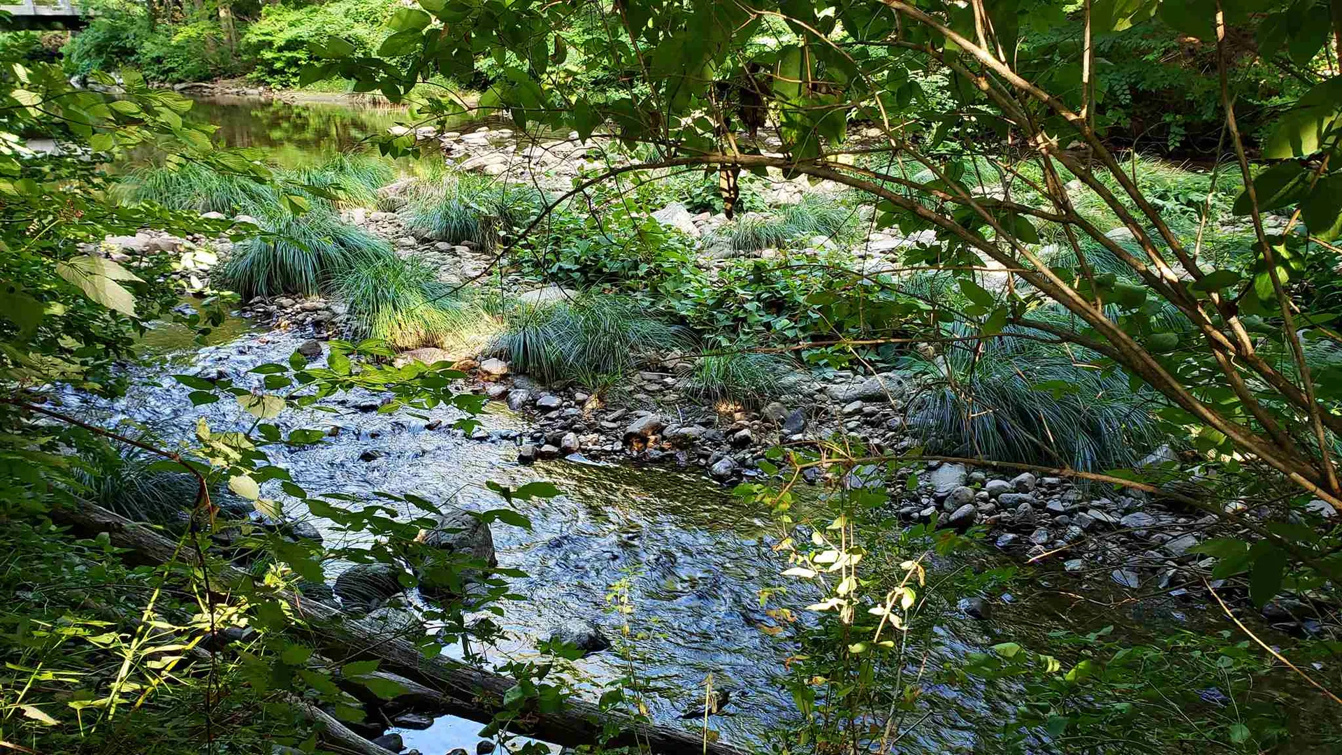 0 The Lane Stamford VT 05352