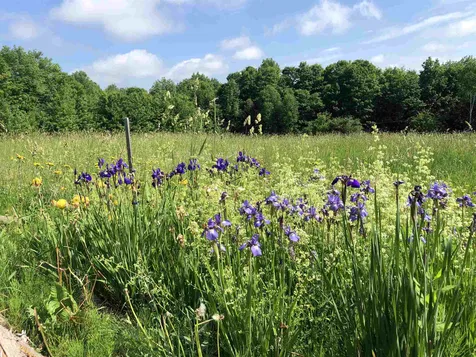 2957 Berry Hill Road Sheffield VT 05866
