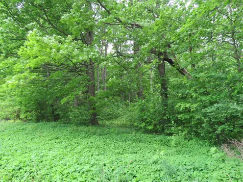 1469 Nelson Hill Road Derby VT 05829