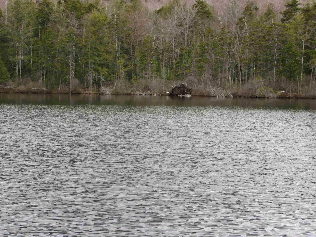 4 Echo Lane Piermont NH 03779