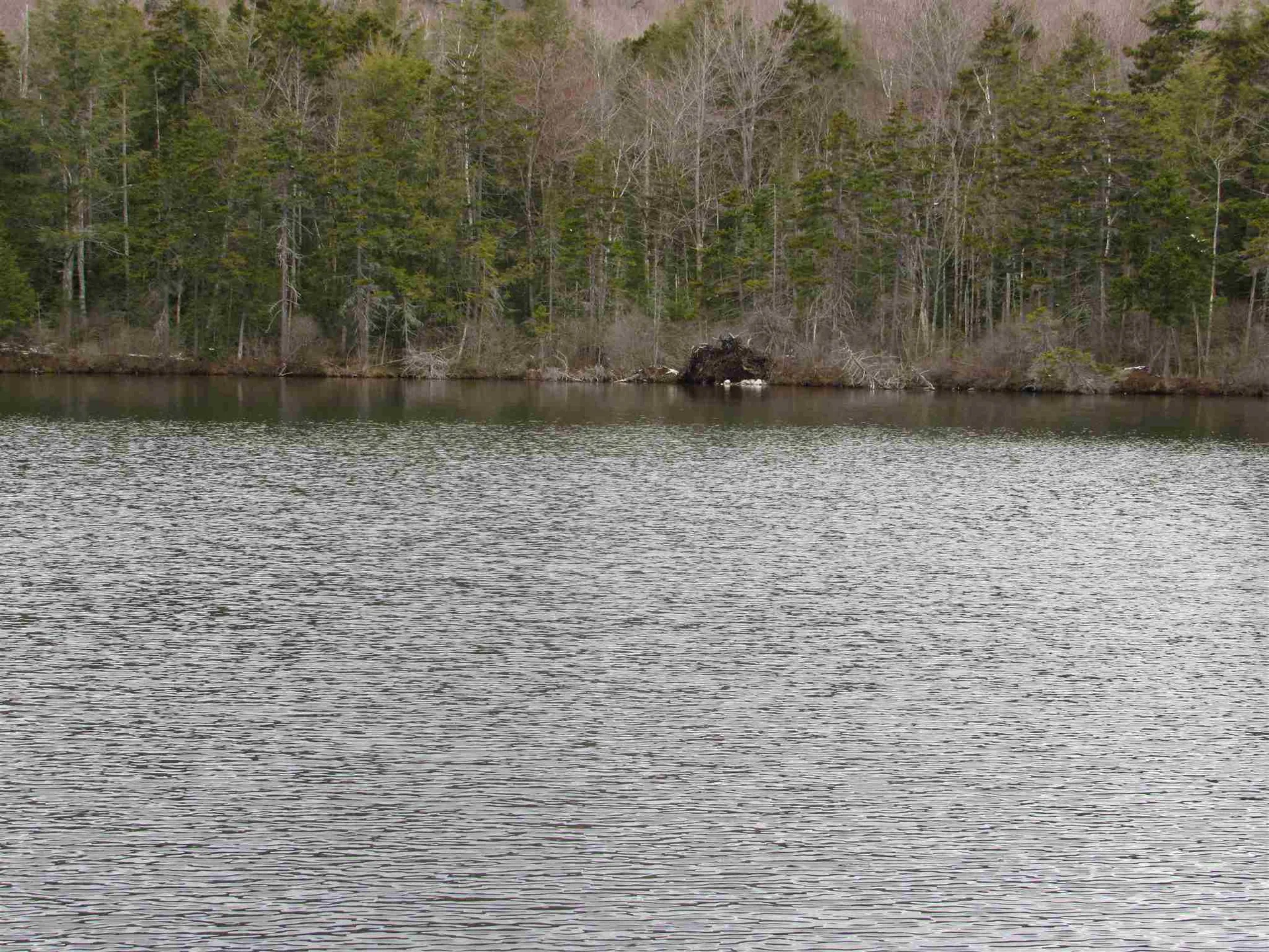 4 Echo Lane Piermont NH 03779