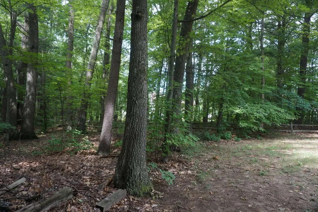 146 Ira Allen Court Colchester VT 05446