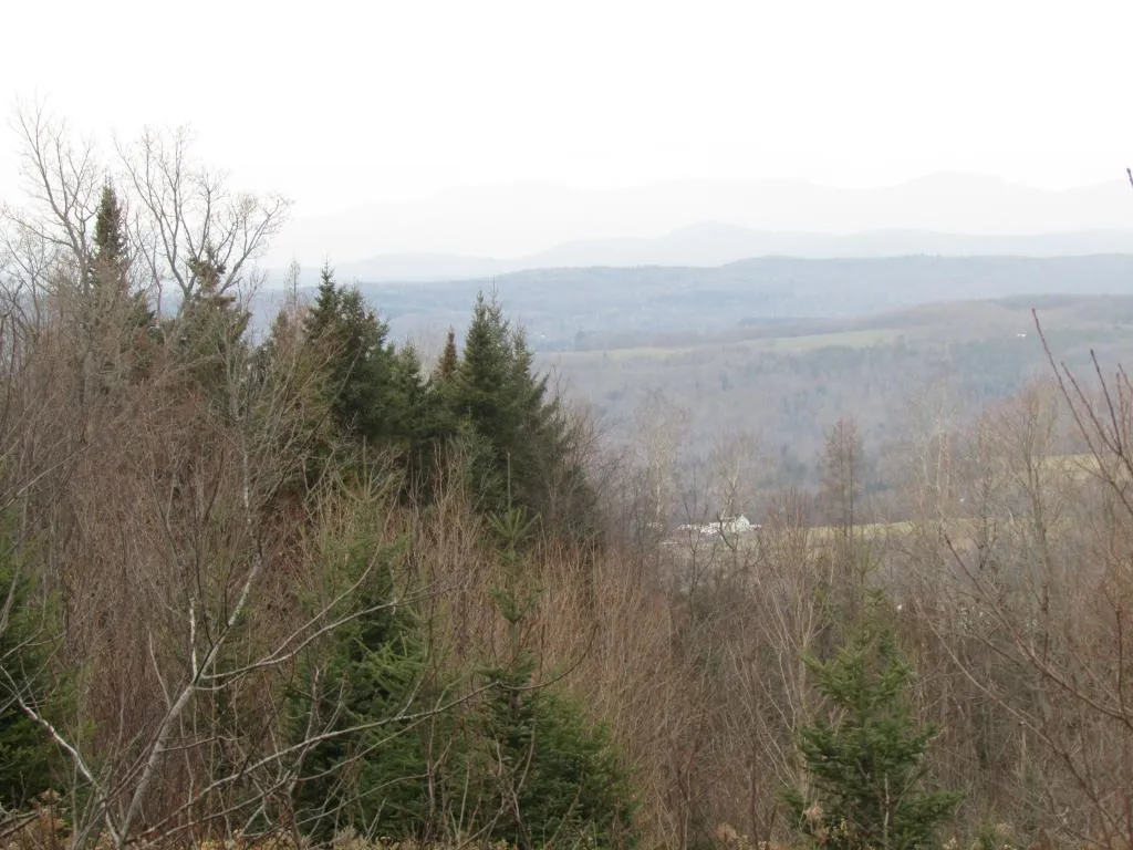 0 Dubray Road Cabot VT 05647