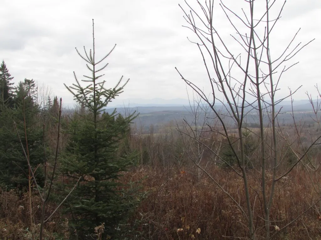 0 Dubray Road Cabot VT 05647