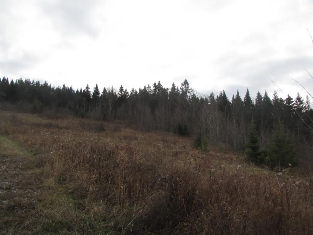 0 Dubray Road Cabot VT 05647