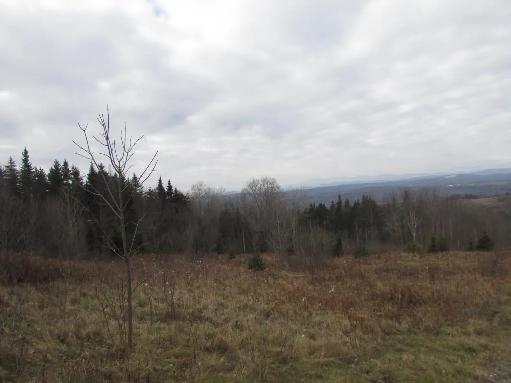 0 Dubray Road Cabot VT 05647