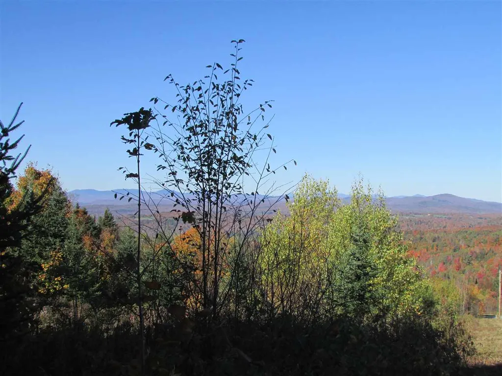 0 Dubray Road Cabot VT 05647