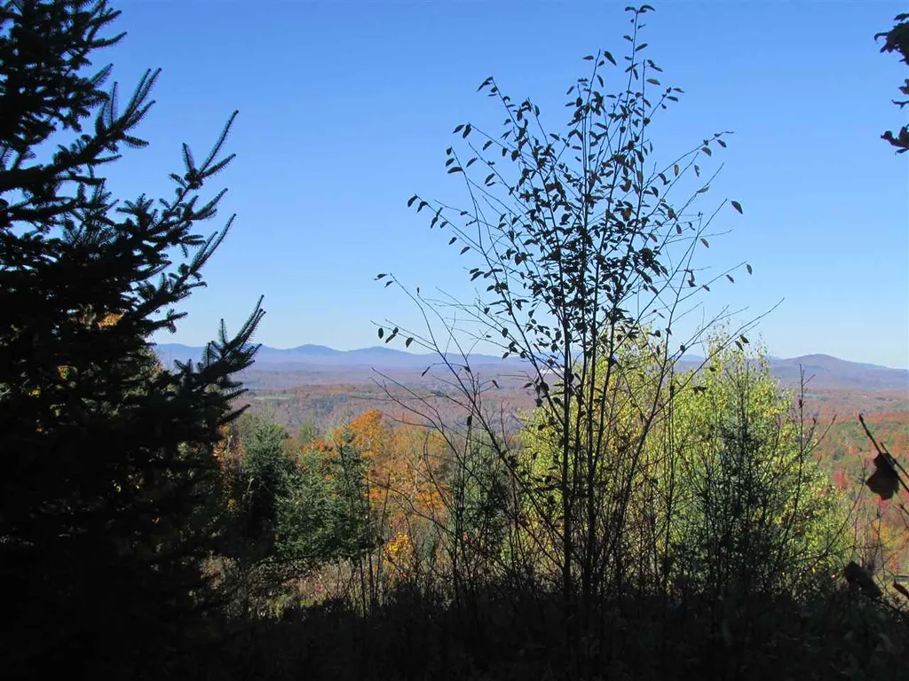 0 Dubray Road Cabot VT 05647
