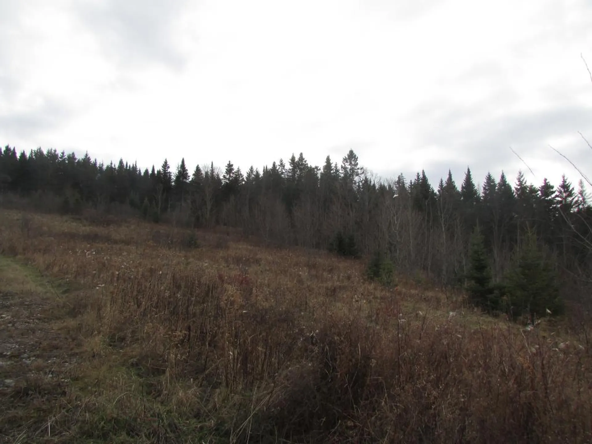 0 Dubray Road Cabot VT 05647